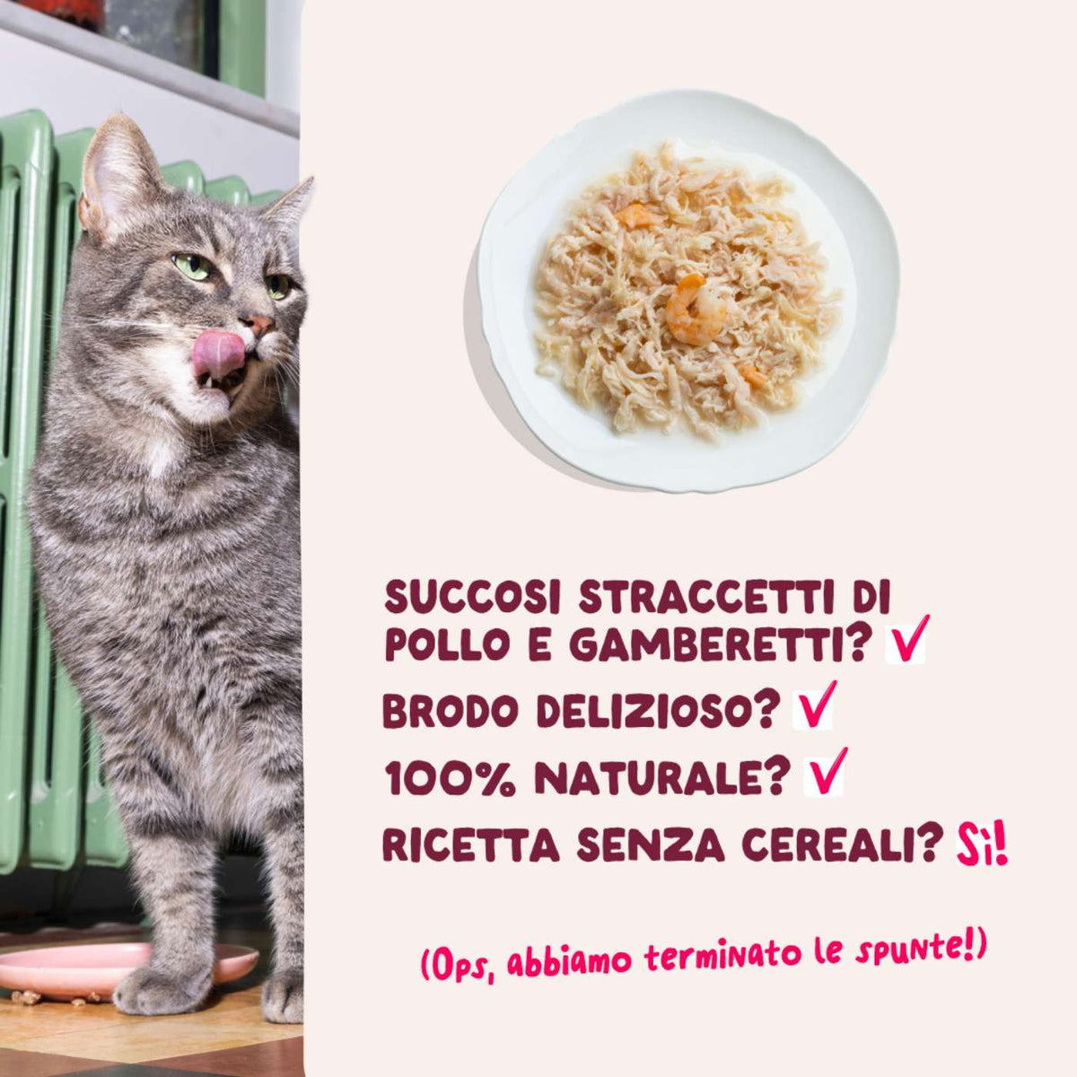Edgard &amp; Cooper Sfilaccetti per Gatti Adulti Pollo con Gamberetti in Brodo di Pollo 70 g