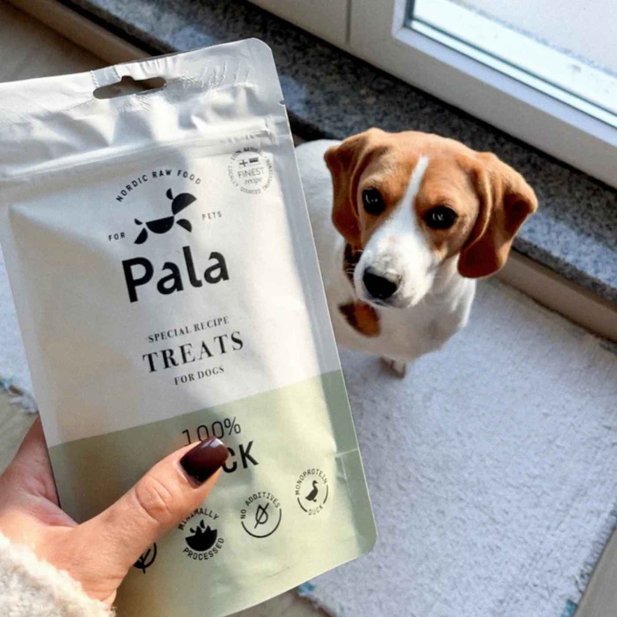 Pala Snack per Cani 100% Anatra Monoproteici 100 g
