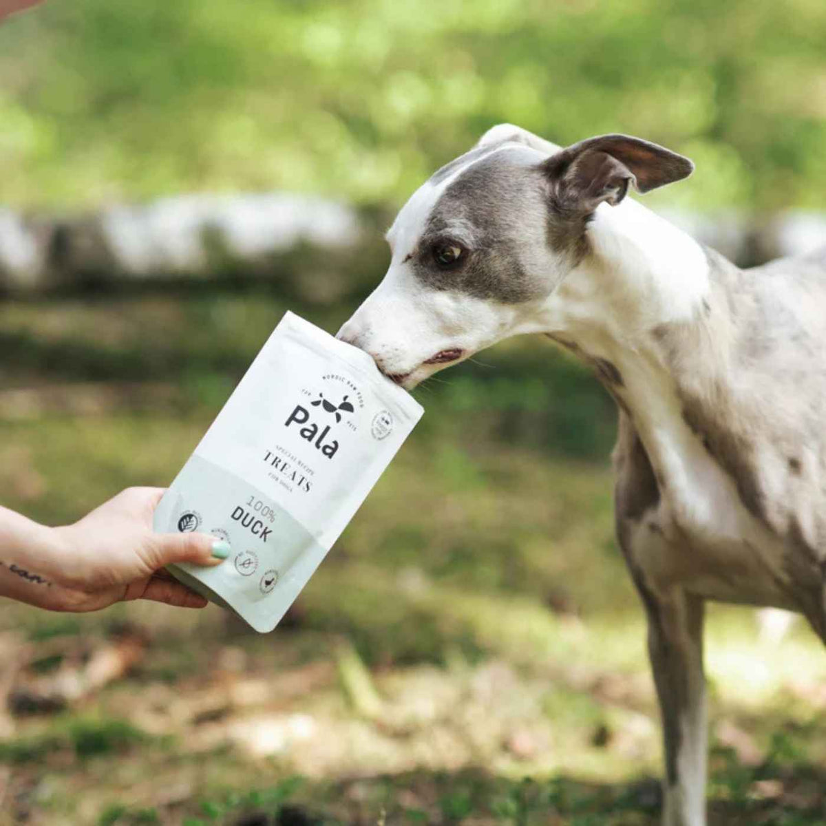 Pala Snack per Cani 100% Anatra Monoproteici 100 g