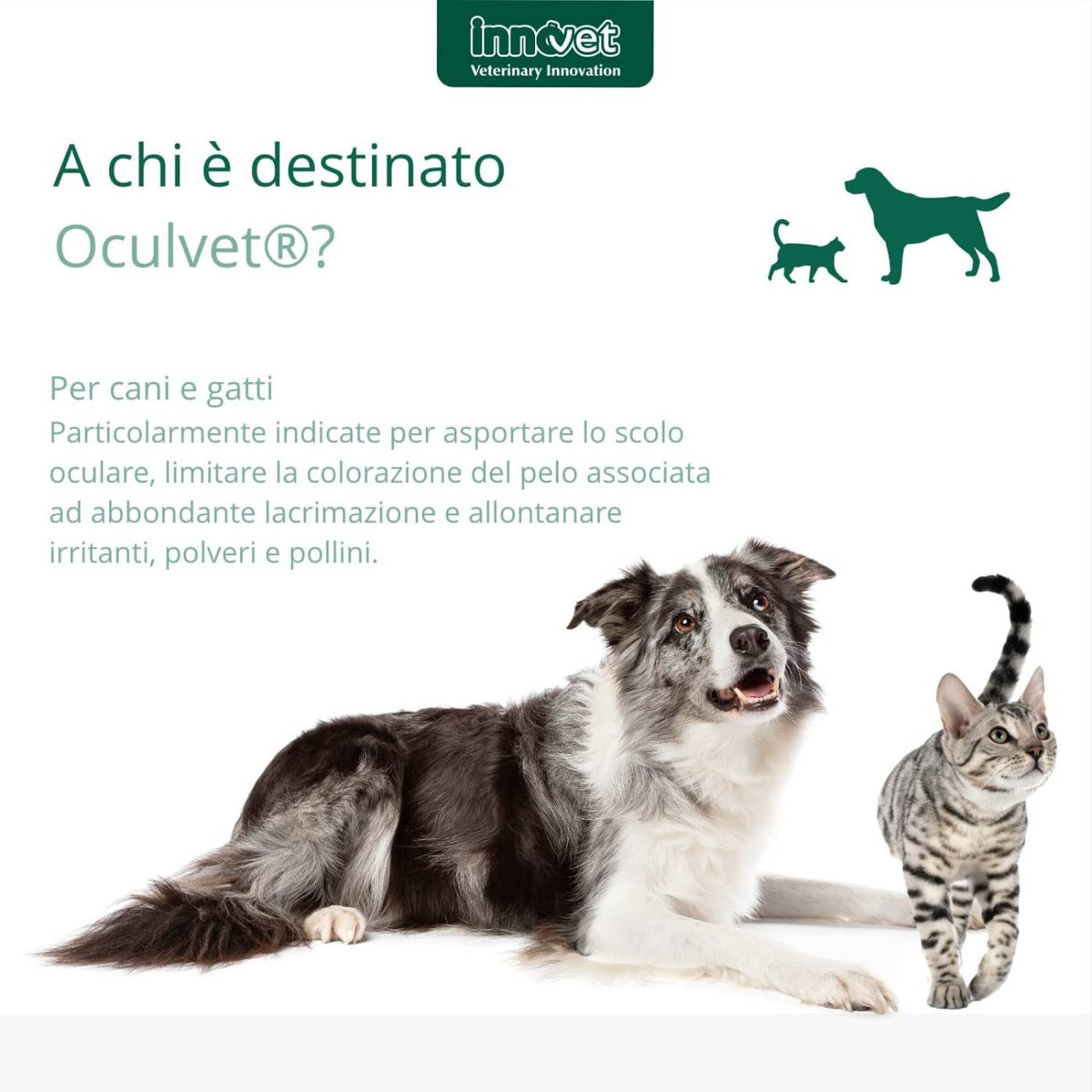 Oculvet Salviettine Monouso per Cani e Gatti 14 Bustine Innovet
