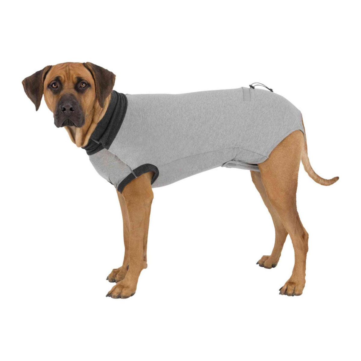 Trixie Body Protettivo Post Operatorio per Cani