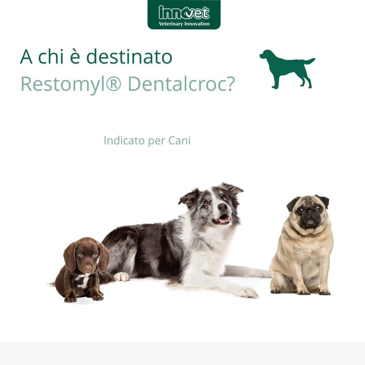 Restomyl Dentalcroc per Cani di Piccola Taglia 60 g Innovet