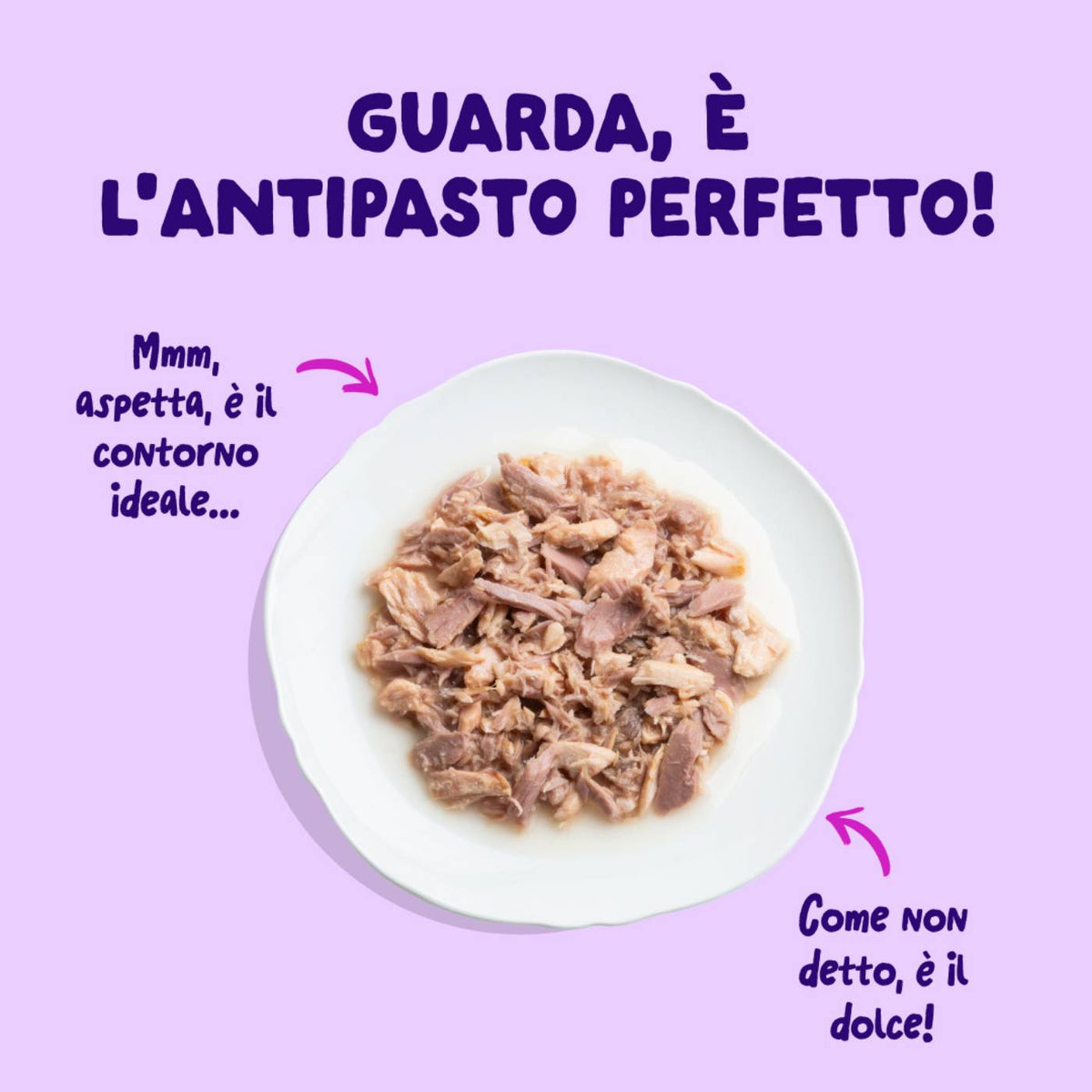 Edgard &amp; Cooper Sfilaccetti per Gatti Adulti Salmone con Tonno in Brodo di Pesce 70 g