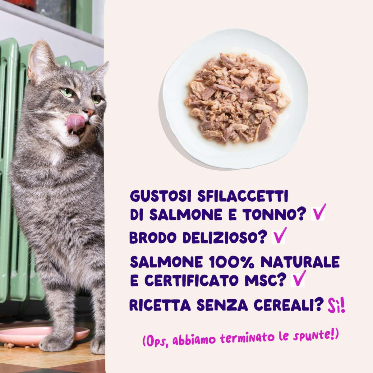 Edgard &amp; Cooper Sfilaccetti per Gatti Adulti Salmone con Tonno in Brodo di Pesce 70 g