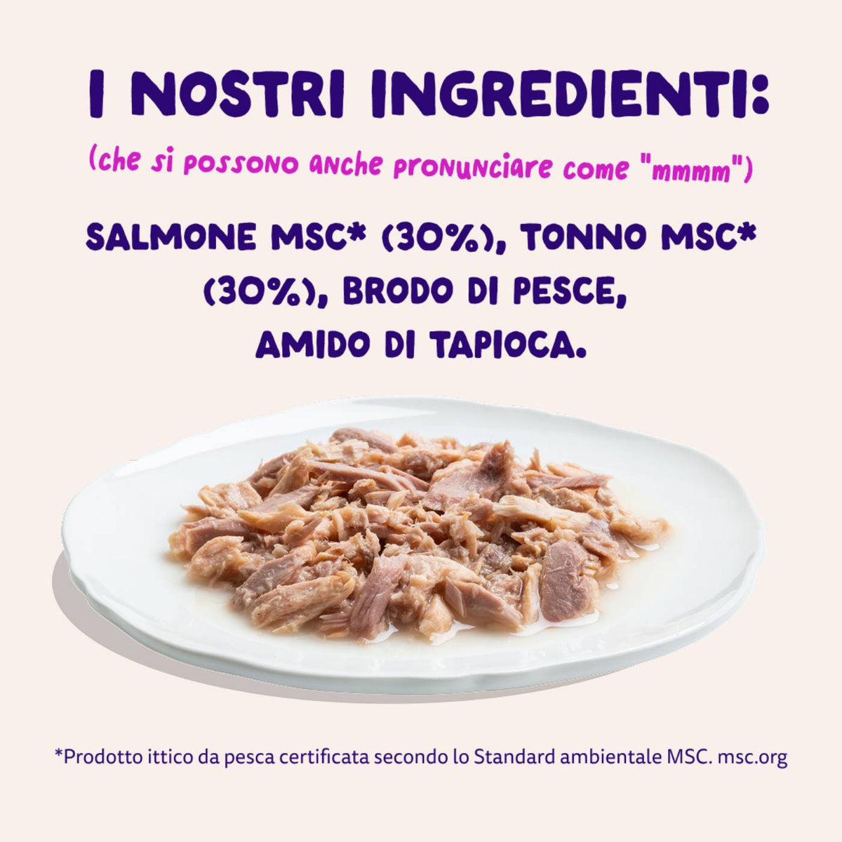 Edgard &amp; Cooper Sfilaccetti per Gatti Adulti Salmone con Tonno in Brodo di Pesce 70 g