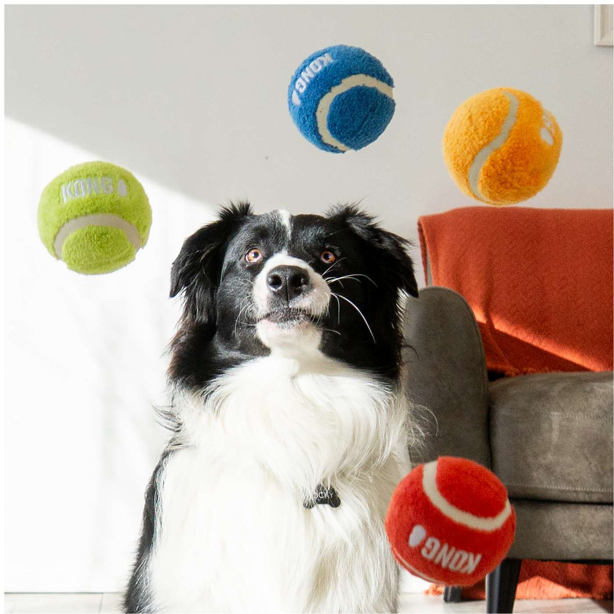 Kong Gioco per Cani Sport Softies Balls 3 pz S