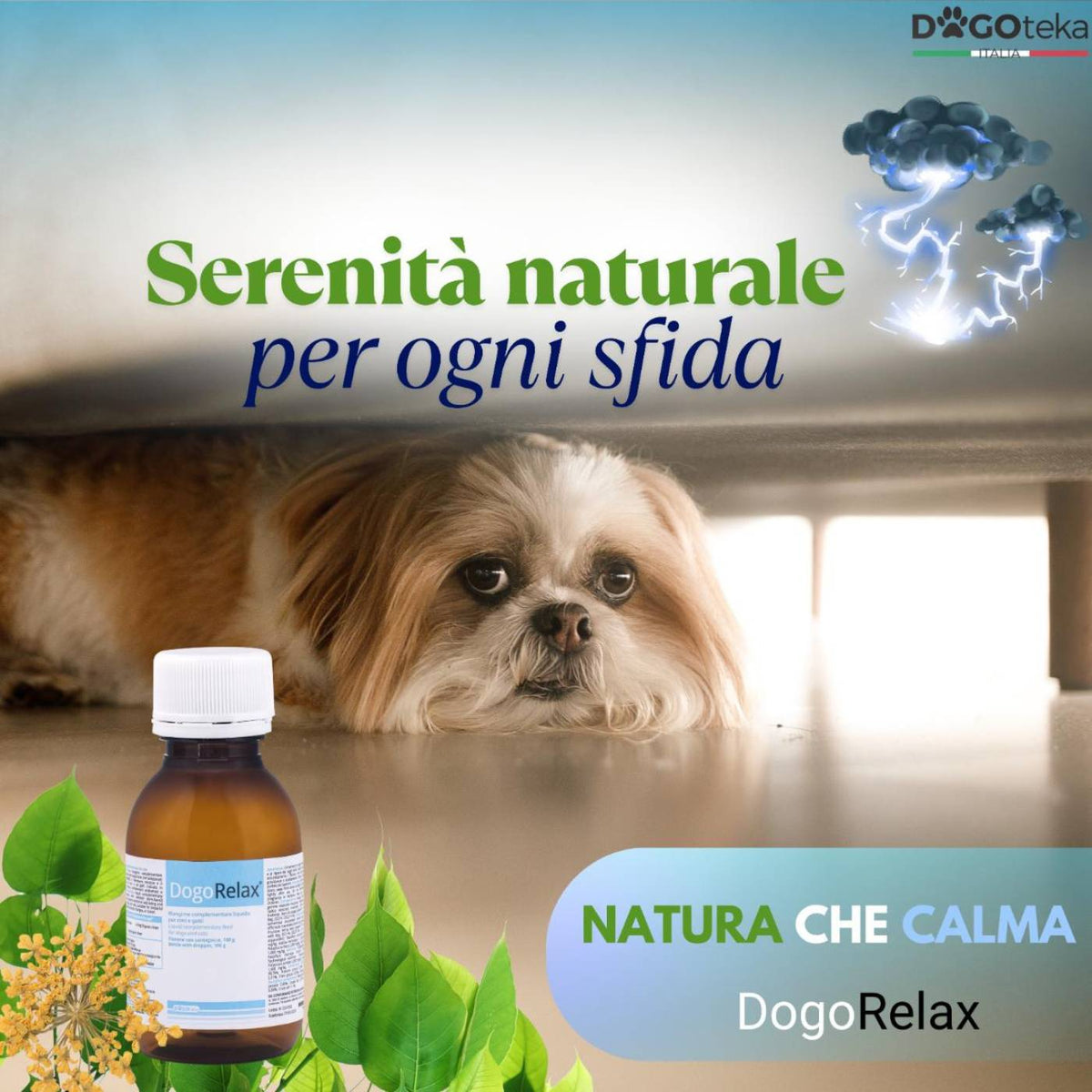 Dogoteka DogoRelax Liquido per Cani e Gatti 100 ml