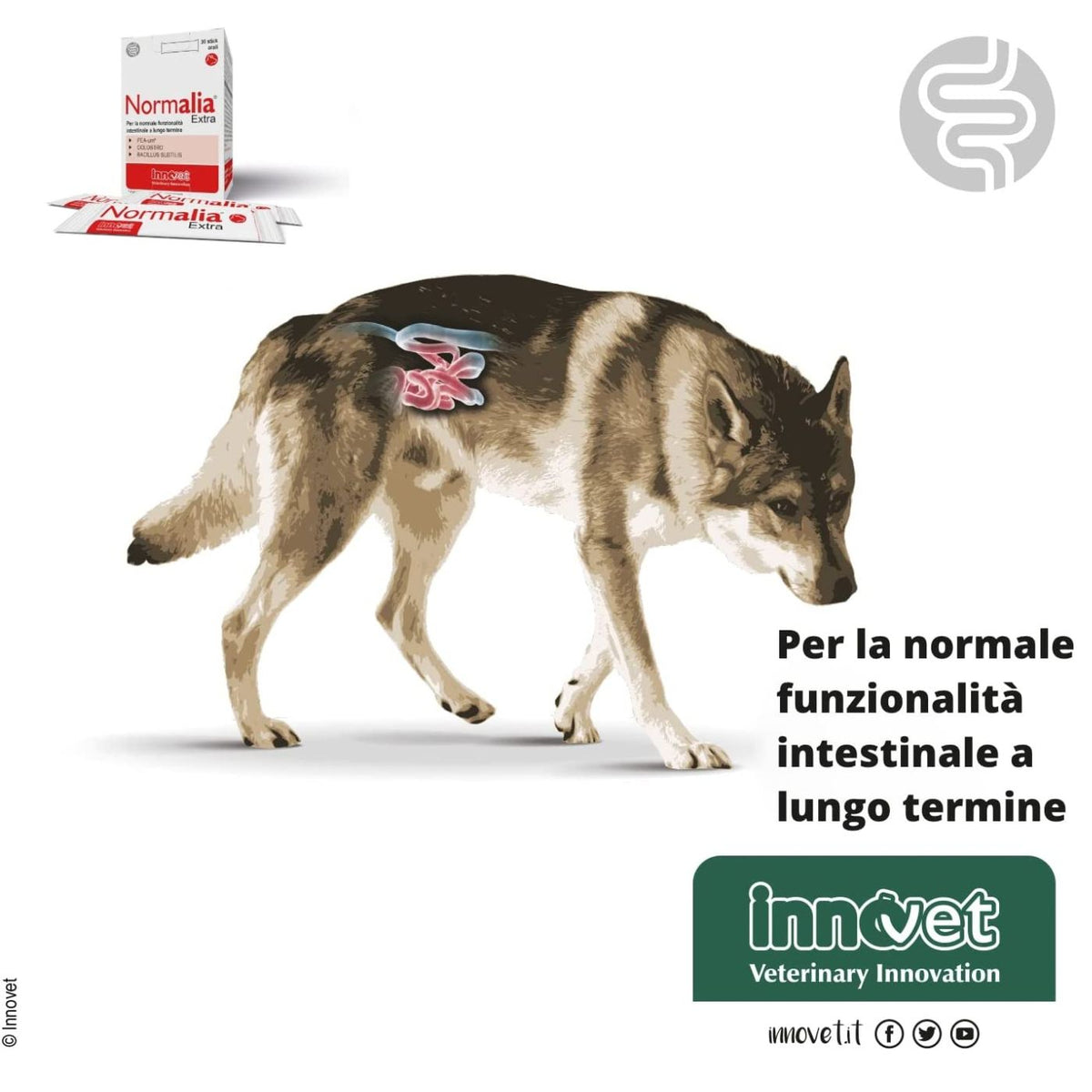 Normalia Extra Stick per Cani Innovet