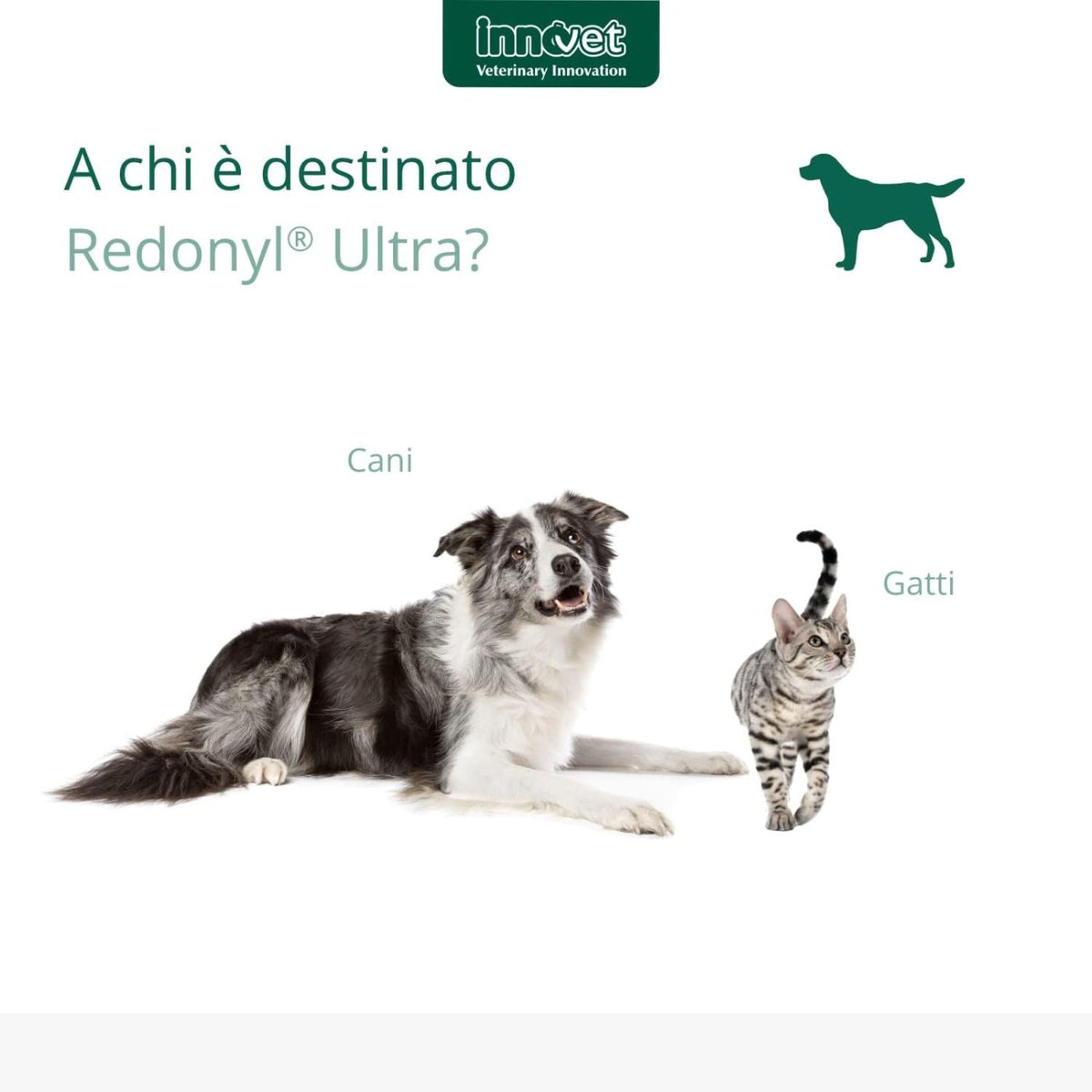 Redonyl Ultra 50 mg per Cani e Gatti fino a 12 kg Innovet