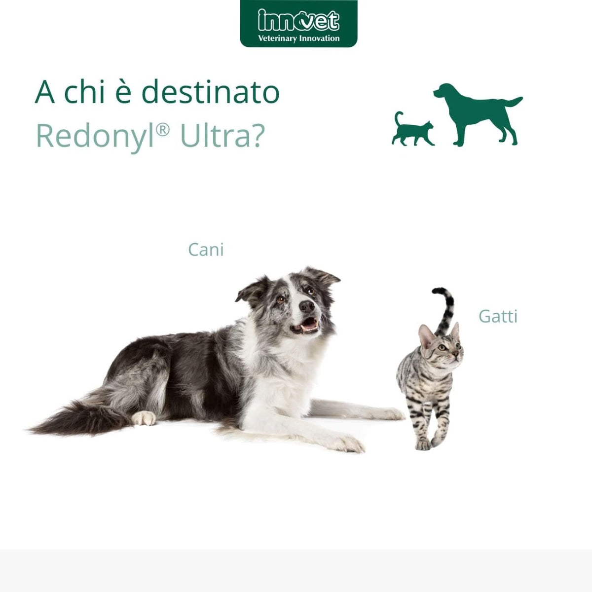 Redonyl Ultra 150 mg per Cani oltre i 12 kg Innovet