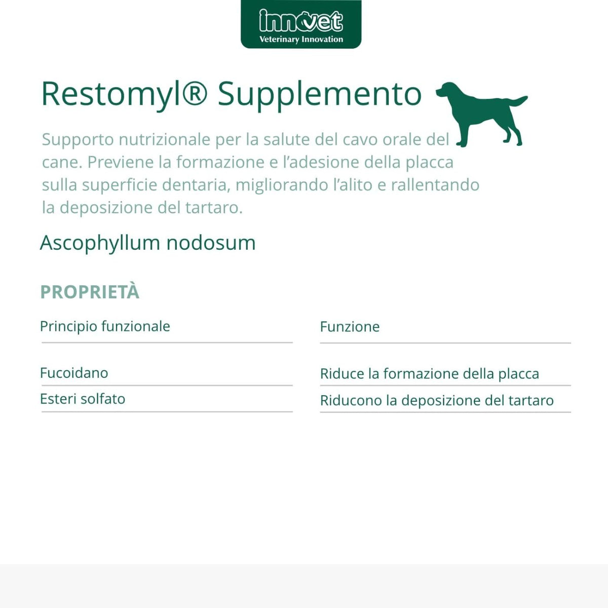 Restomyl Supplemento - Cane 60 g per Cani Innovet
