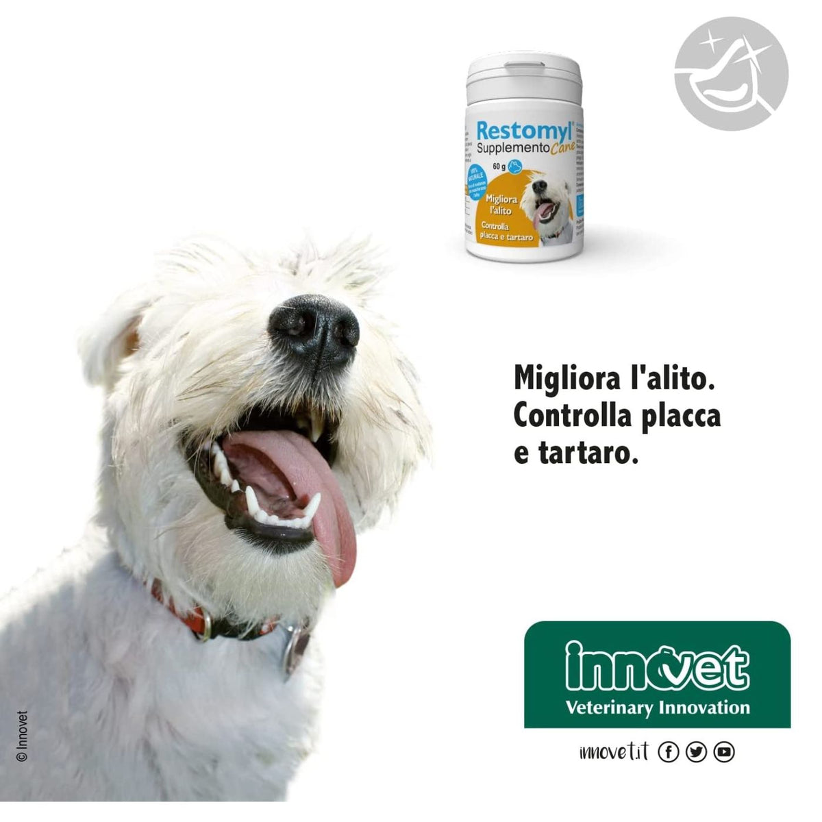 Restomyl Supplemento - Cane 60 g per Cani Innovet
