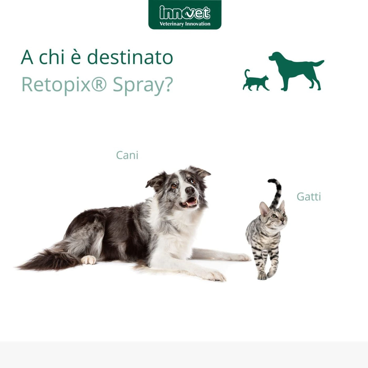 Retopix Spray 100 ml per Cani e Gatti Innovet