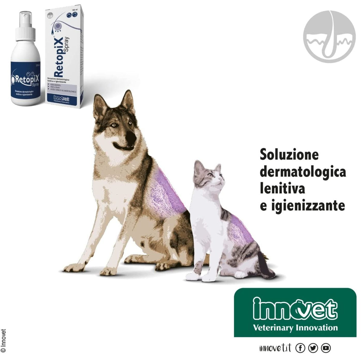 Retopix Spray 100 ml per Cani e Gatti Innovet