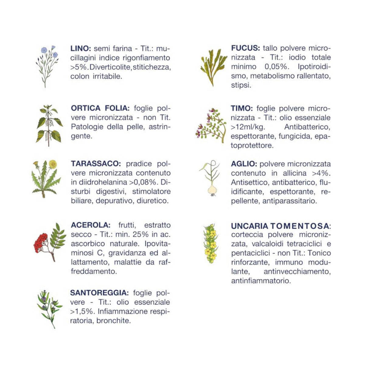 Vet Line Salute Maiale per Cani Adulti di Piccola Taglia Monoproteico VetLine
