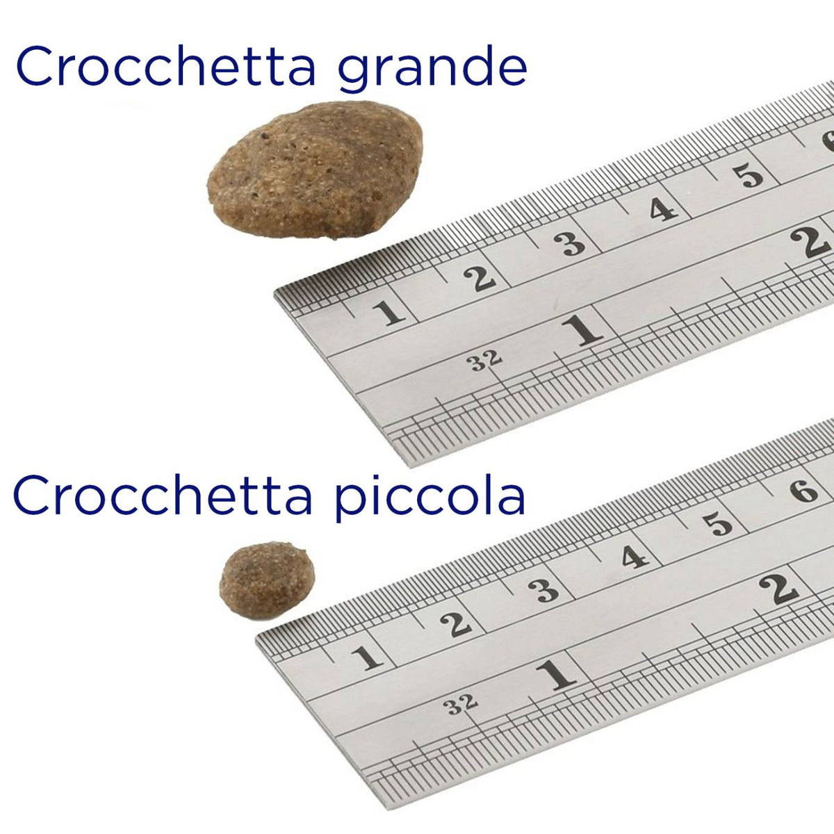 Fish4Dogs Superior Adult Salmone Large 12 kg per Cani Adulti di Media Grande Taglia