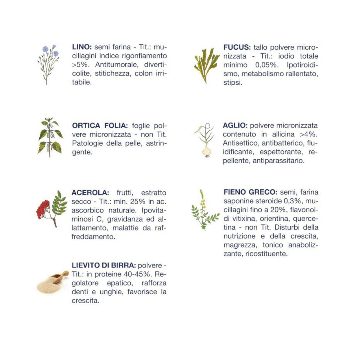 Vet Line Linea LD Agnello Accrescimento per Cuccioli Vetline