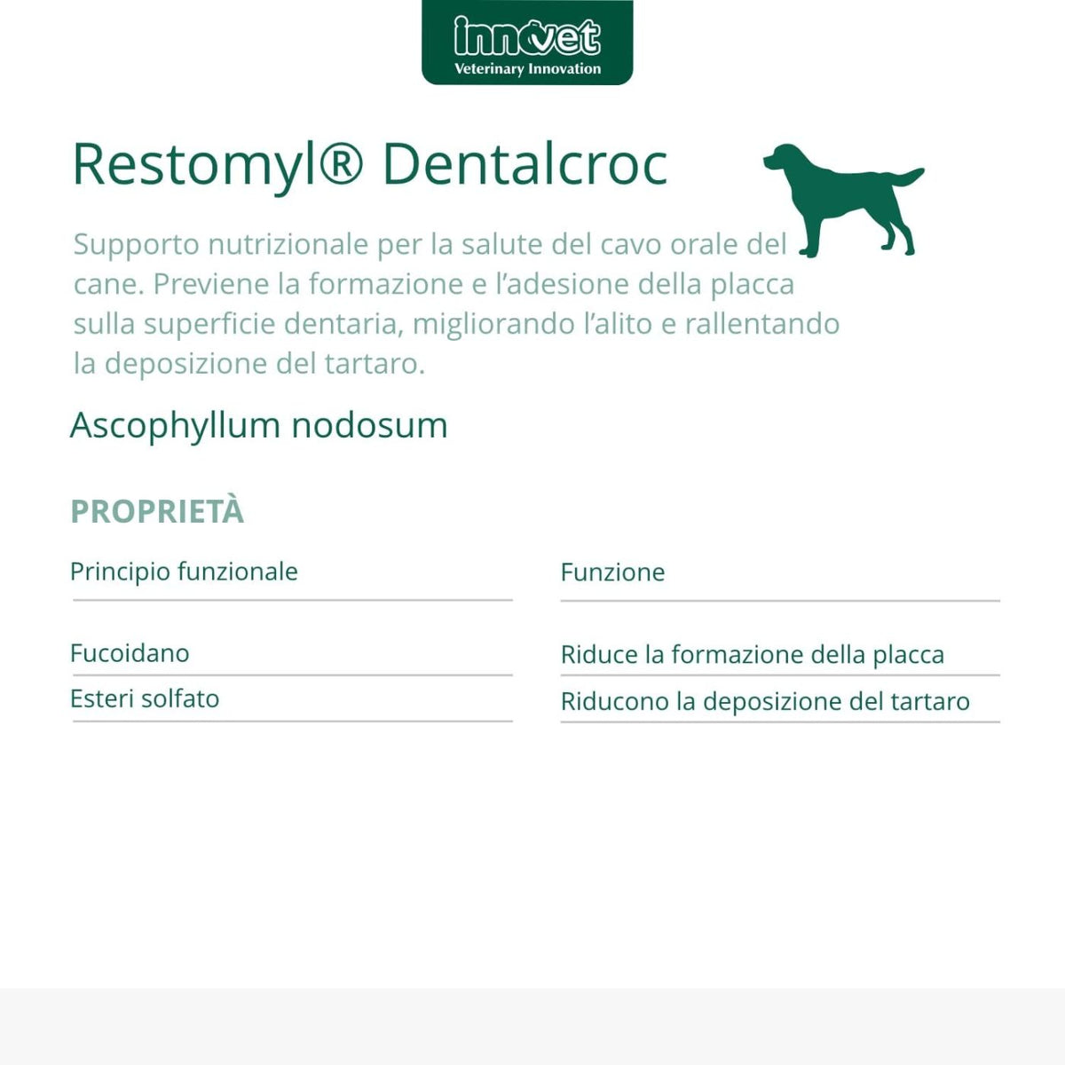 Restomyl Dentalcroc per Cani di Taglia Media Grande e Gigante 150 g Innovet