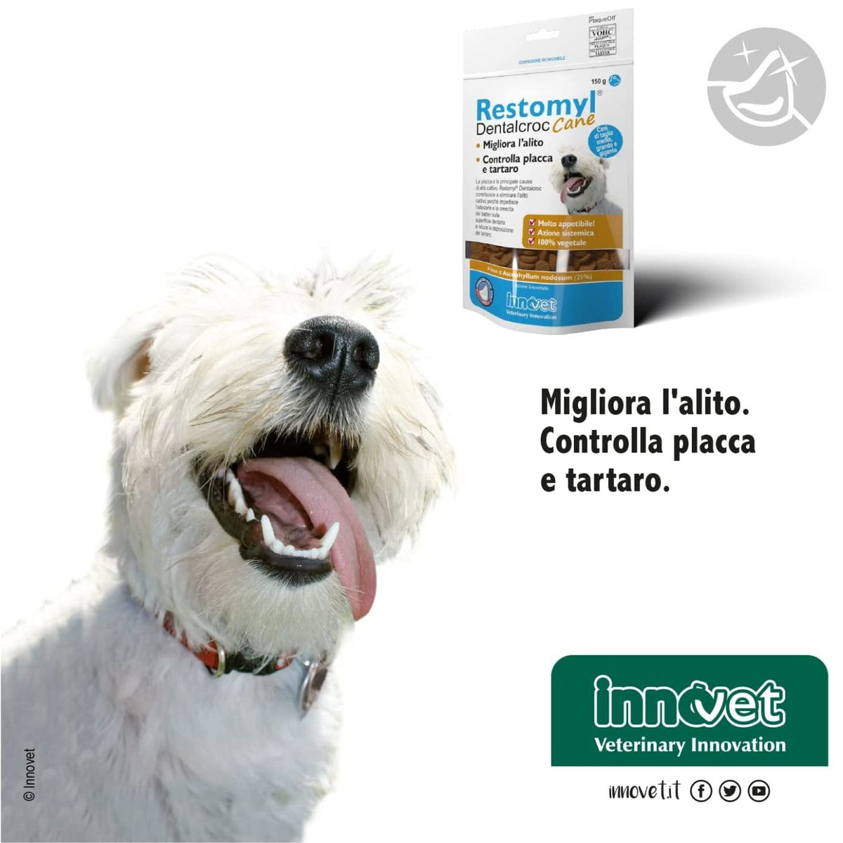 Restomyl Dentalcroc per Cani di Taglia Media Grande e Gigante 150 g Innovet