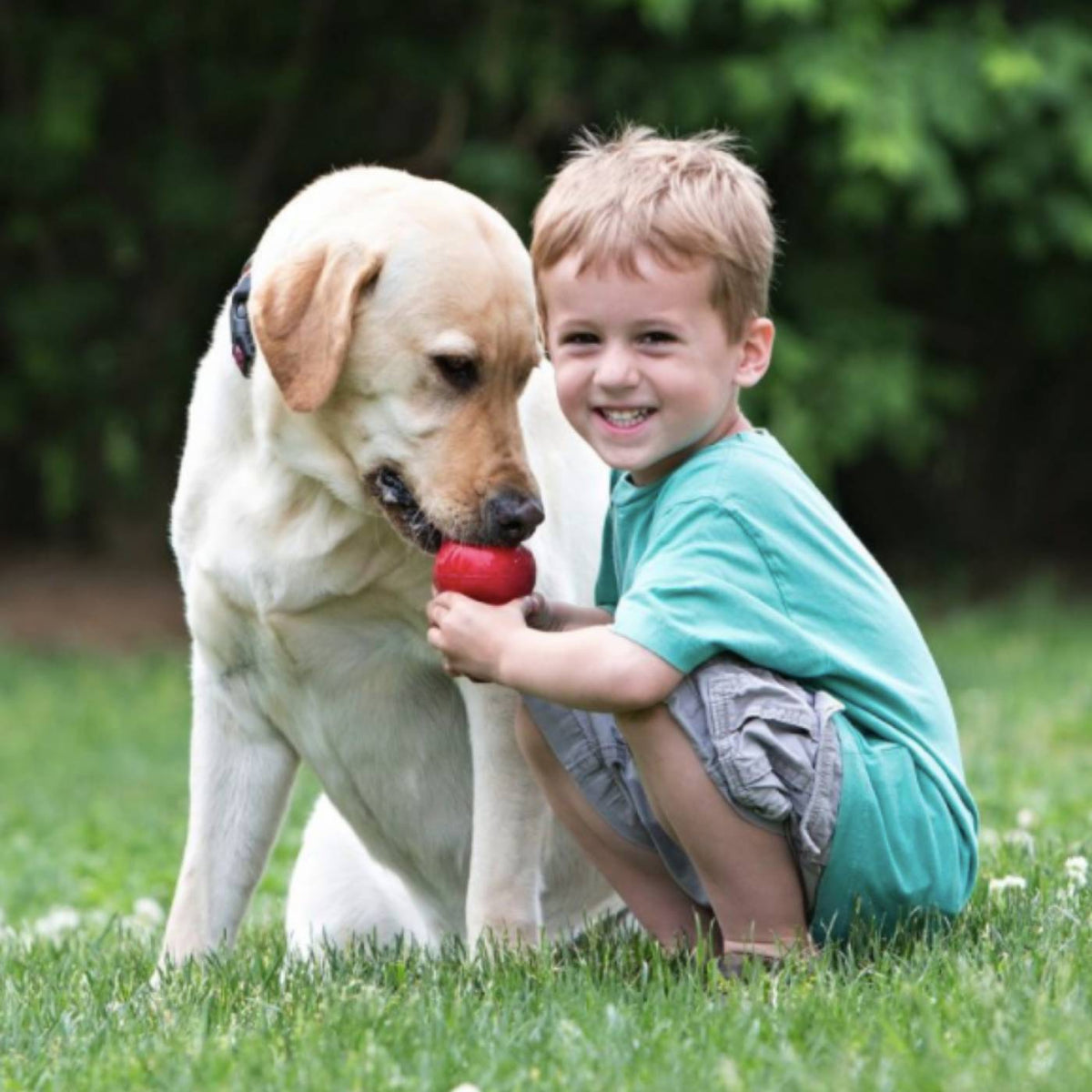 Kong Classic Gioco per Cani