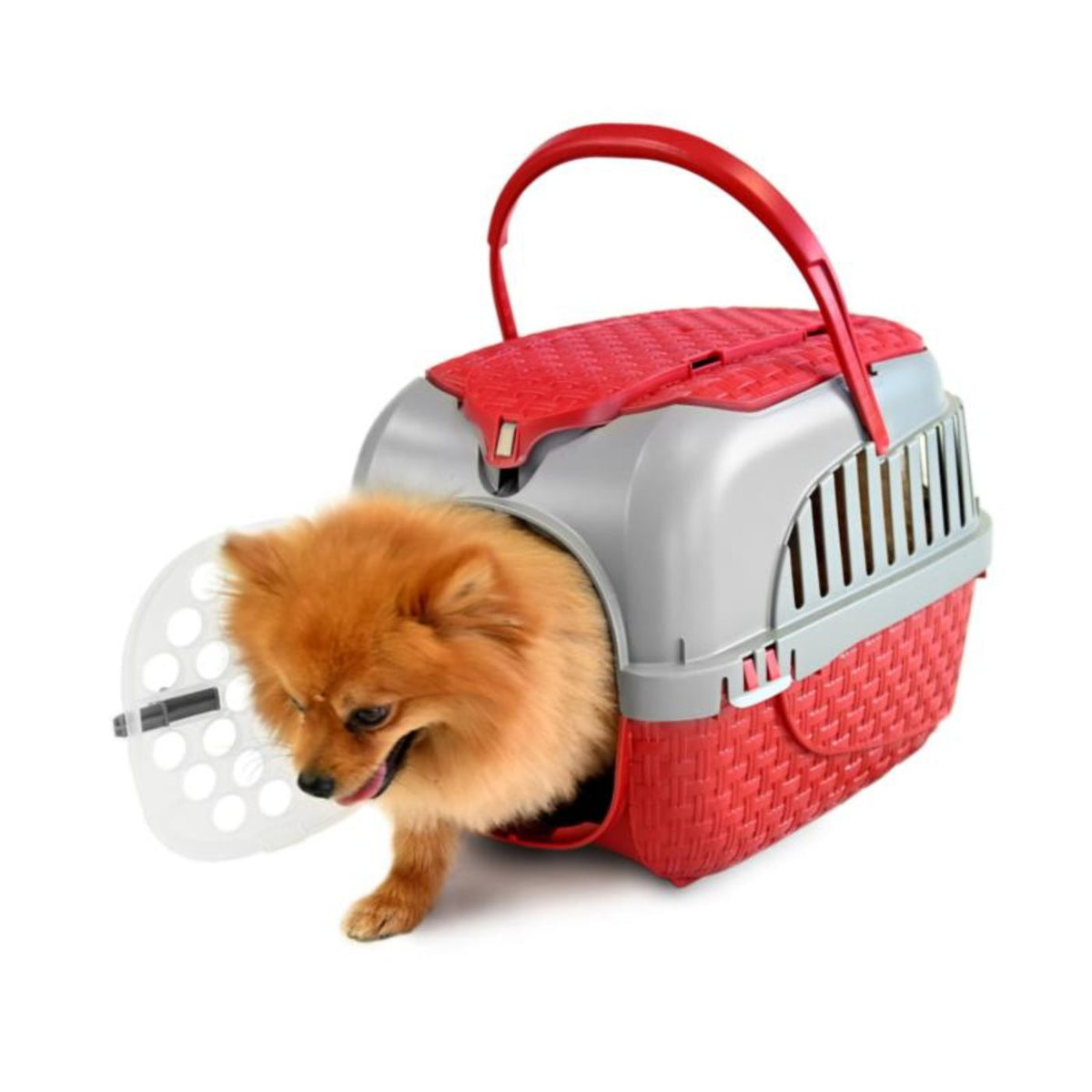 Bama Pet Trasportino per Gatti e Cani di Piccola Taglia Tour Bordeaux