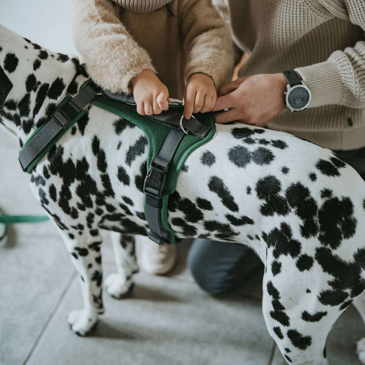 Hunter Pettorina per Cani Maldon Up Verde Scuro/Grigio Riflettente