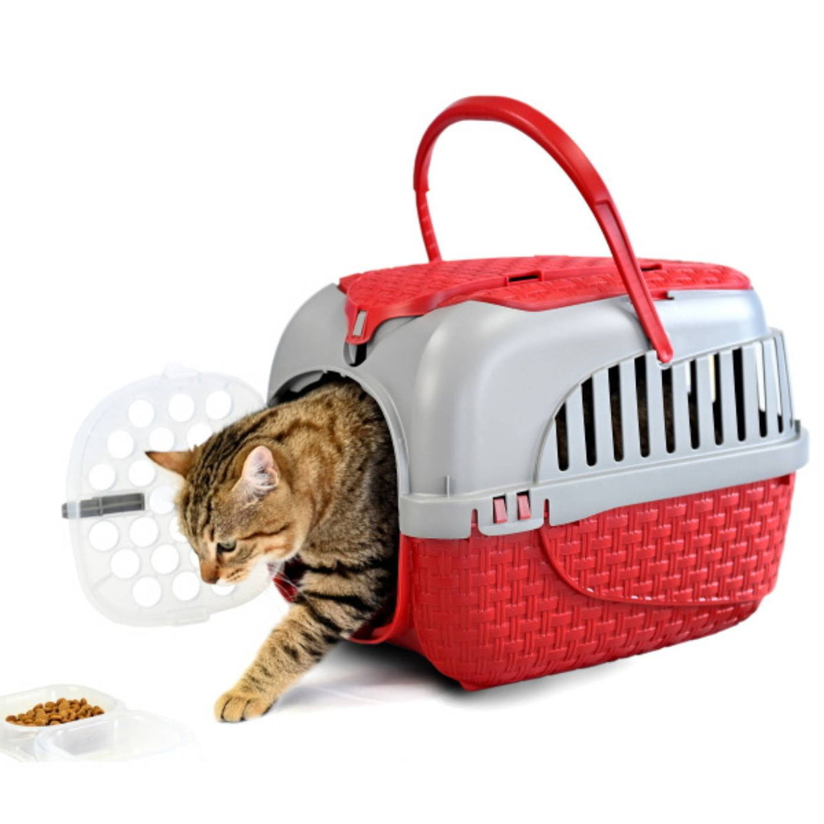 Bama Pet Trasportino per Gatti e Cani di Piccola Taglia Tour Bordeaux