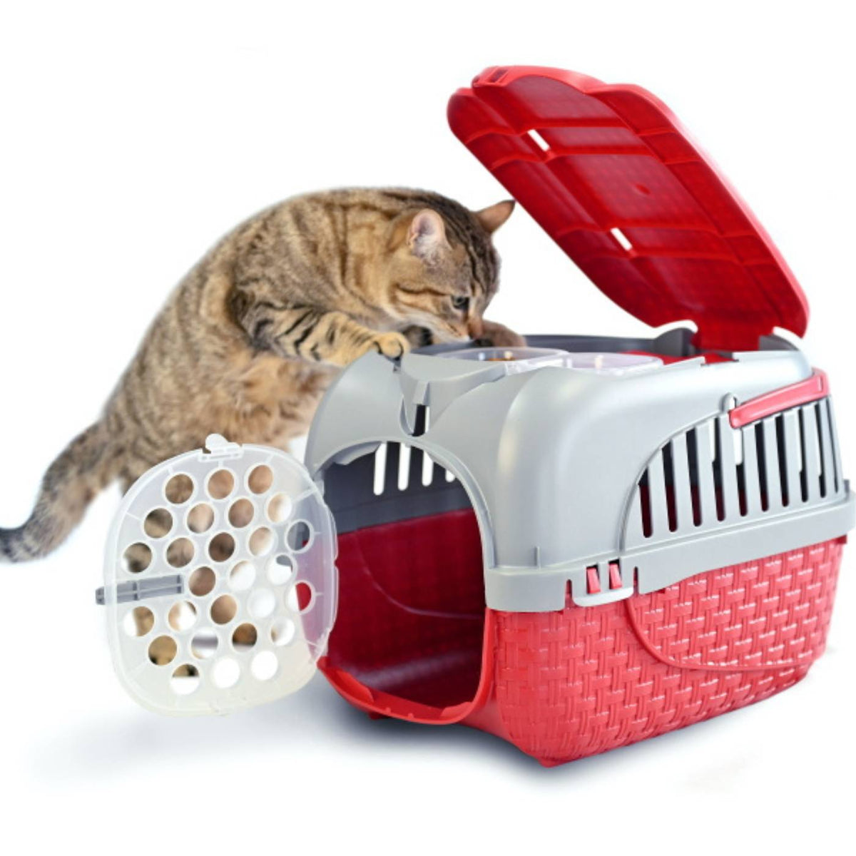Bama Pet Trasportino per Gatti e Cani di Piccola Taglia Tour Bordeaux