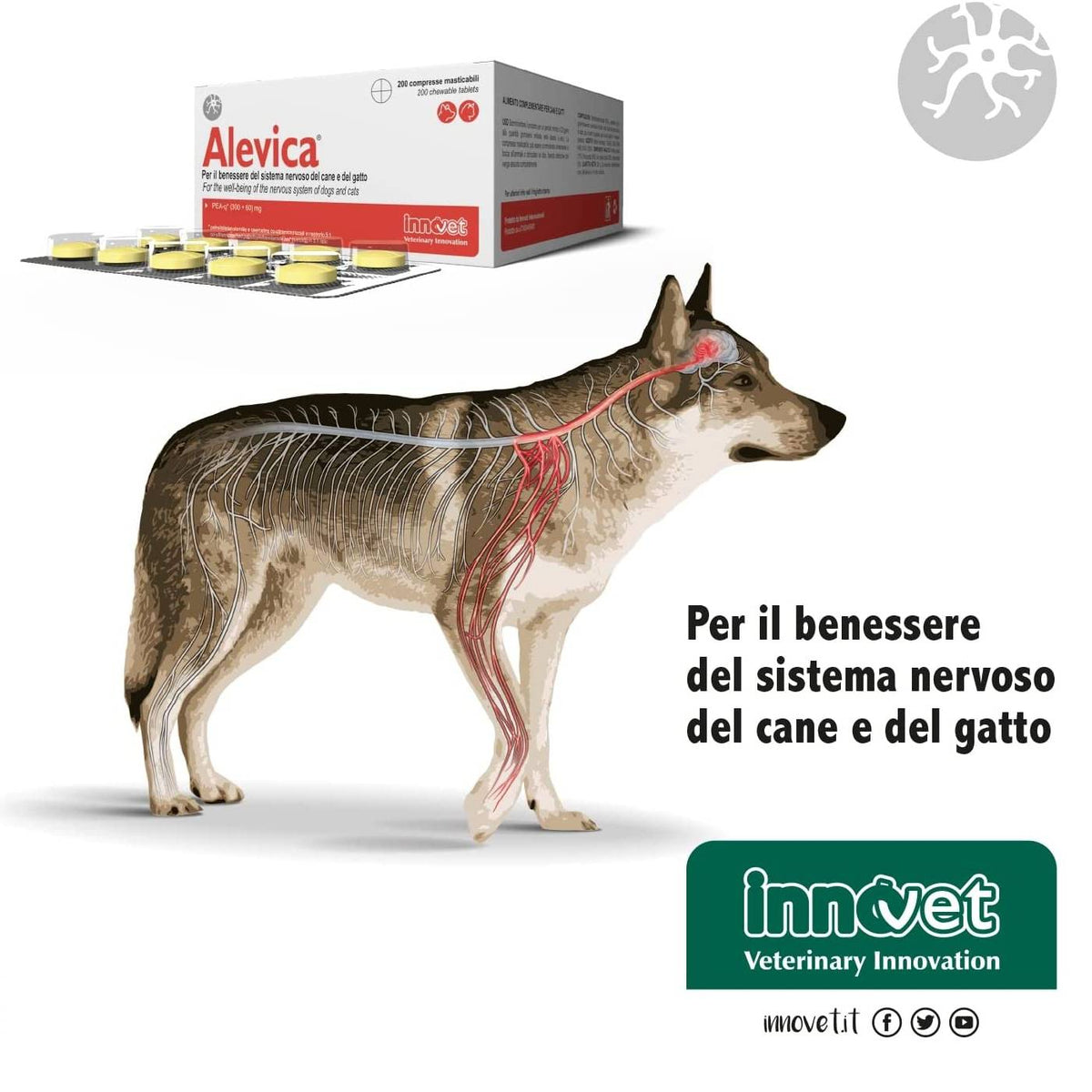 Alevica Integratore Compresse Masticabili per Cani e Gatti Innovet