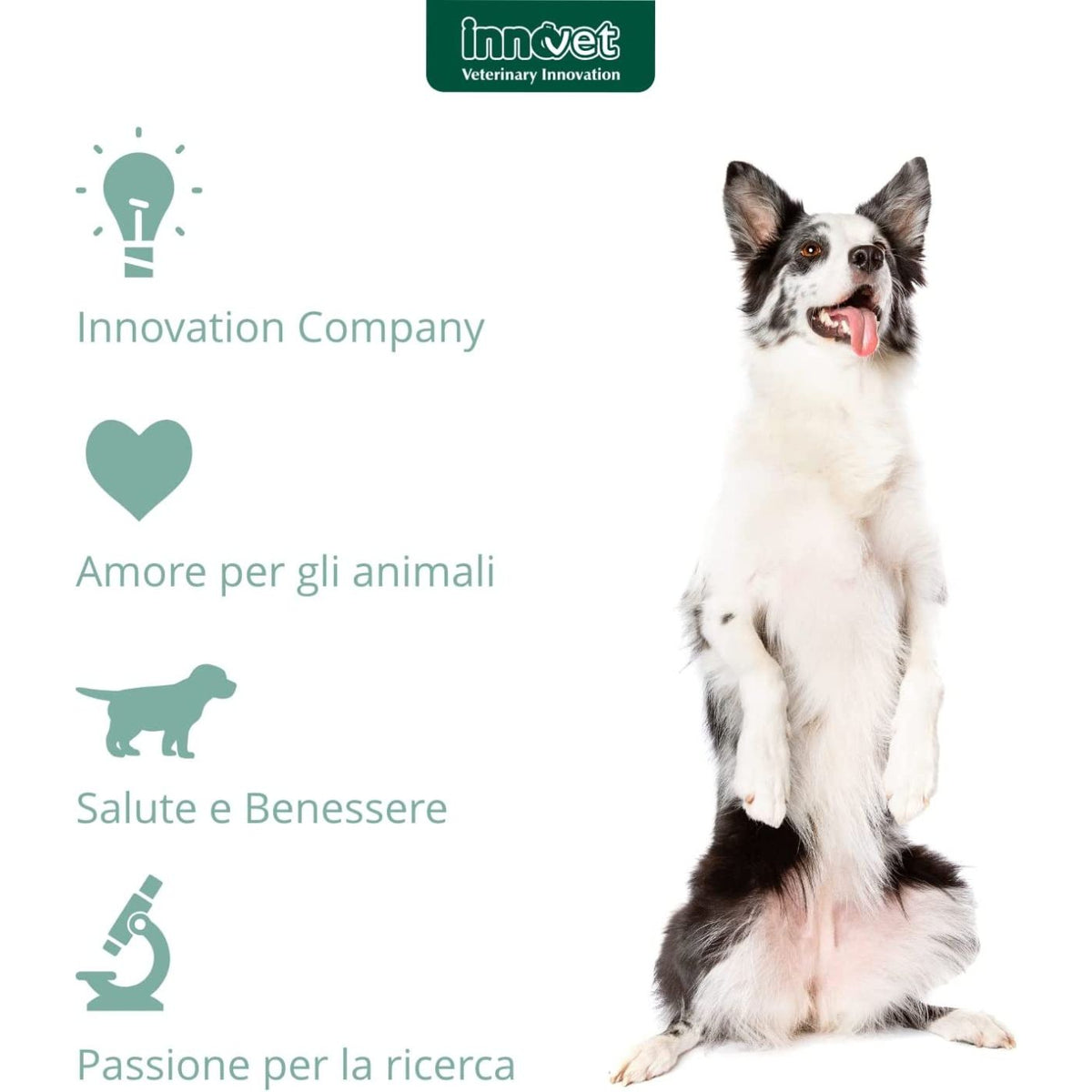 Alevica Integratore Compresse Masticabili per Cani e Gatti Innovet