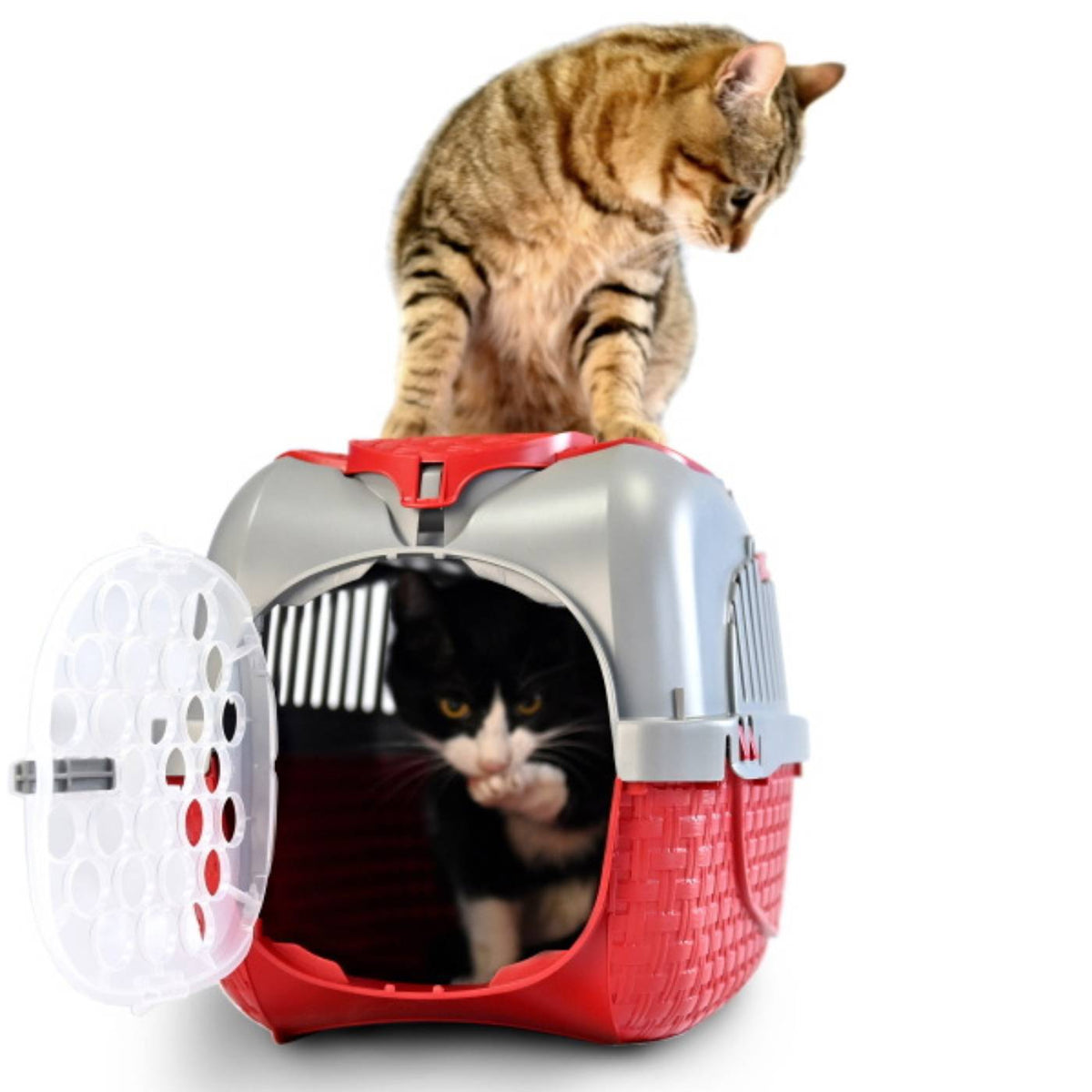 Bama Pet Trasportino per Gatti e Cani di Piccola Taglia Tour Bordeaux
