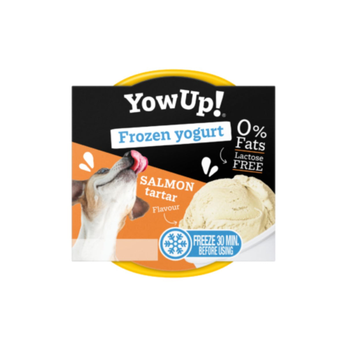 YowUp Frozen Yogurt Gelato per Cani Tartare di Salmone 110 g