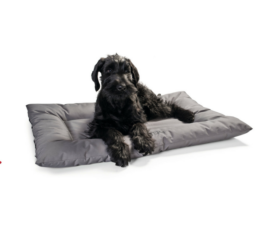 Hunter Cuscino Letto Antibatterico per Cani Gent Grigio 100 x 70 cm