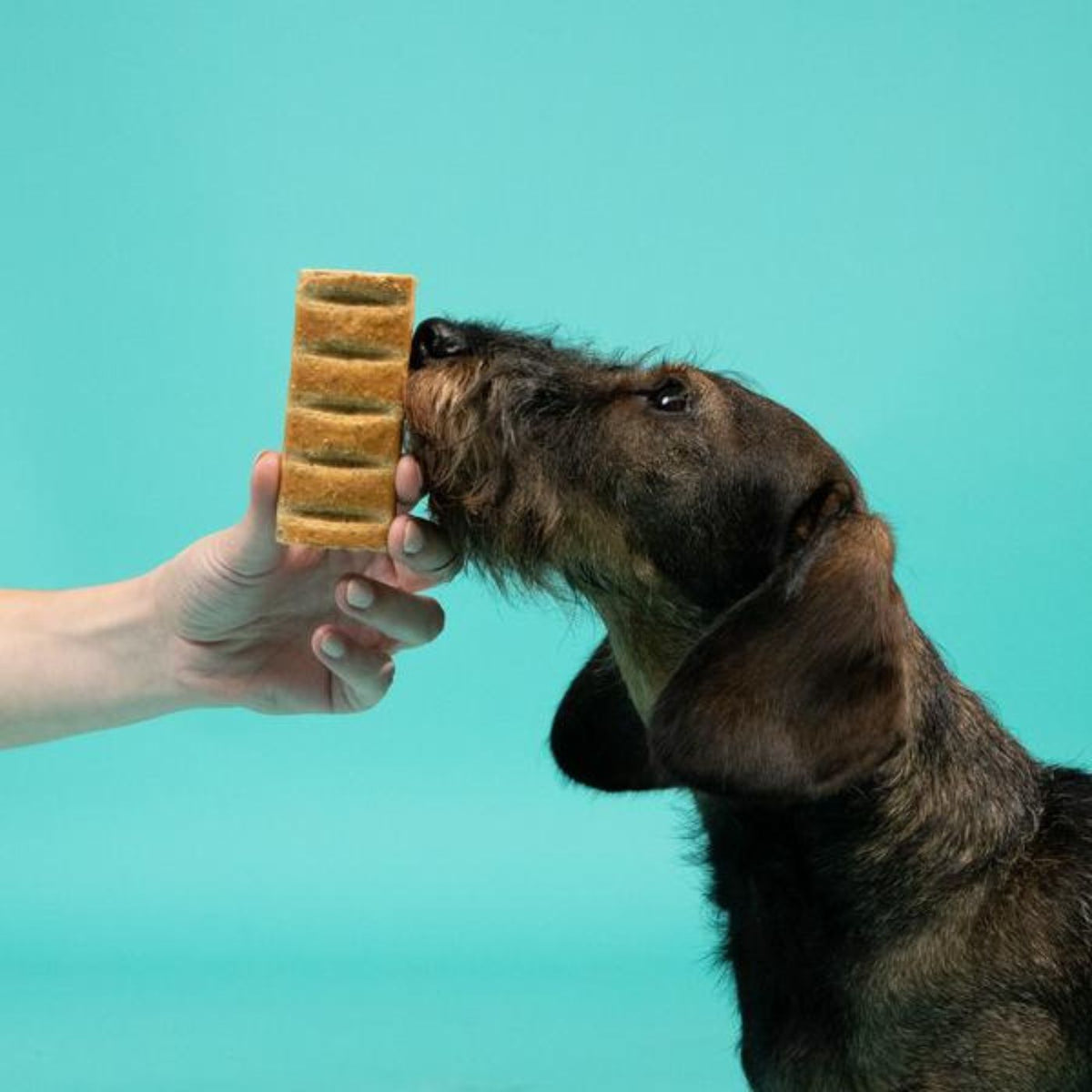 Edgard&amp;Cooper Barretta di Tacchino Snack per Cani 30 g