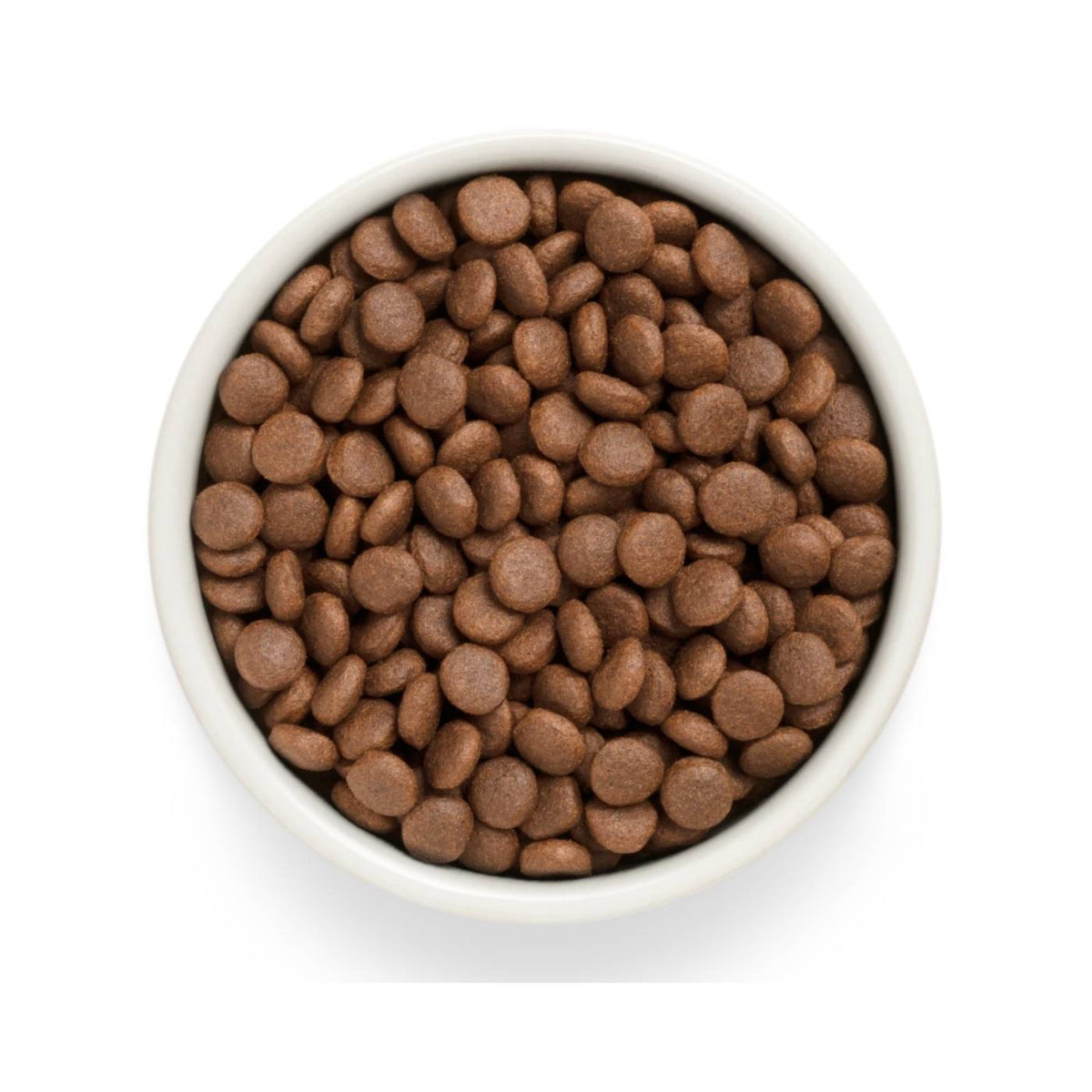 Grandorf Fresh Adult Medium &amp; Maxi Breeds con Filetti di Salmone Fresco e Patata Dolce per Cani Adulti