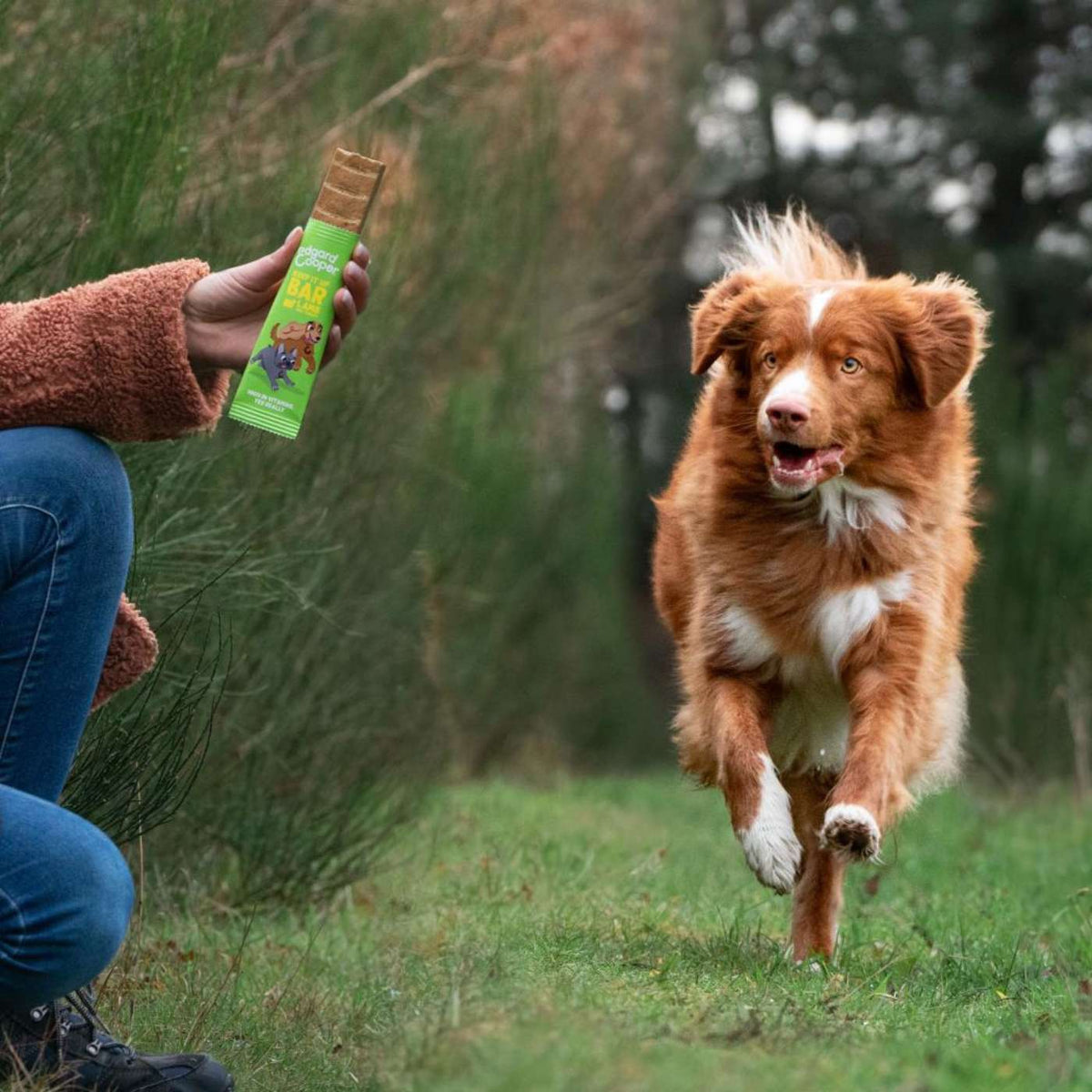 Edgard&amp;Cooper Barretta di Agnello e Tacchino Snack per Cani 30 g