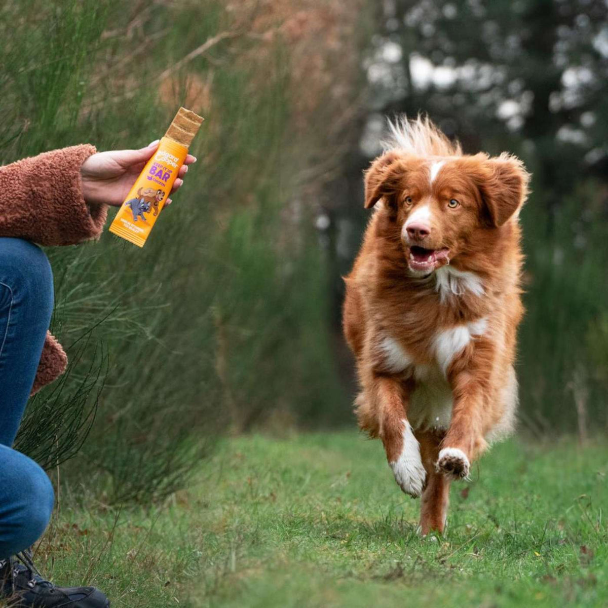 Edgard&amp;Cooper Barretta di Pollo Snack per Cani 30 g