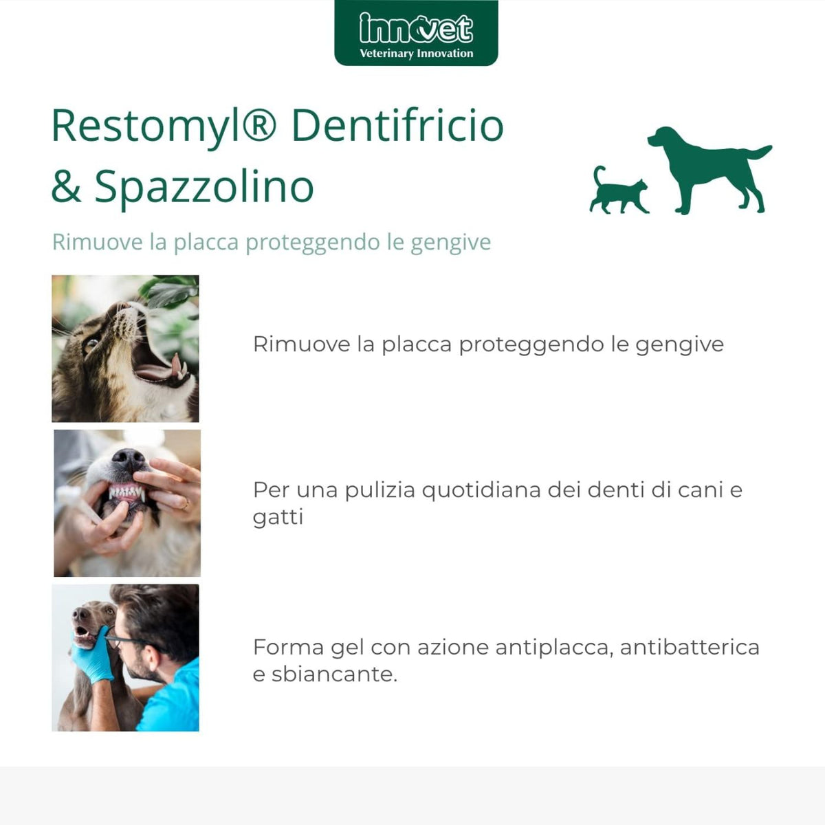 Restomyl Dentifricio con Spazzolino Extra Soft per Cani e Gatti Innovet