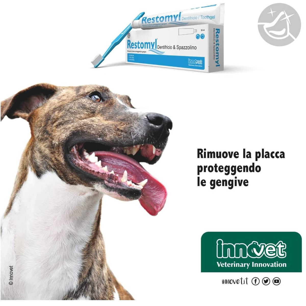Restomyl Dentifricio con Spazzolino Extra Soft per Cani e Gatti Innovet