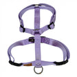 XXXS (torace 30-40cm)