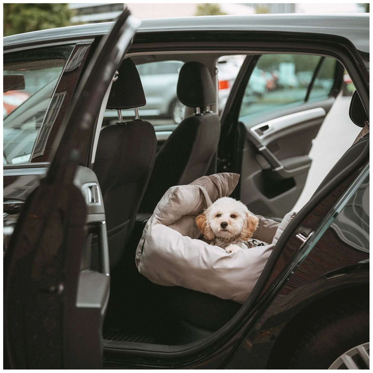Hunter Seggiolino Auto e Lettino da Viaggio per Cani 2 in 1 Seoul