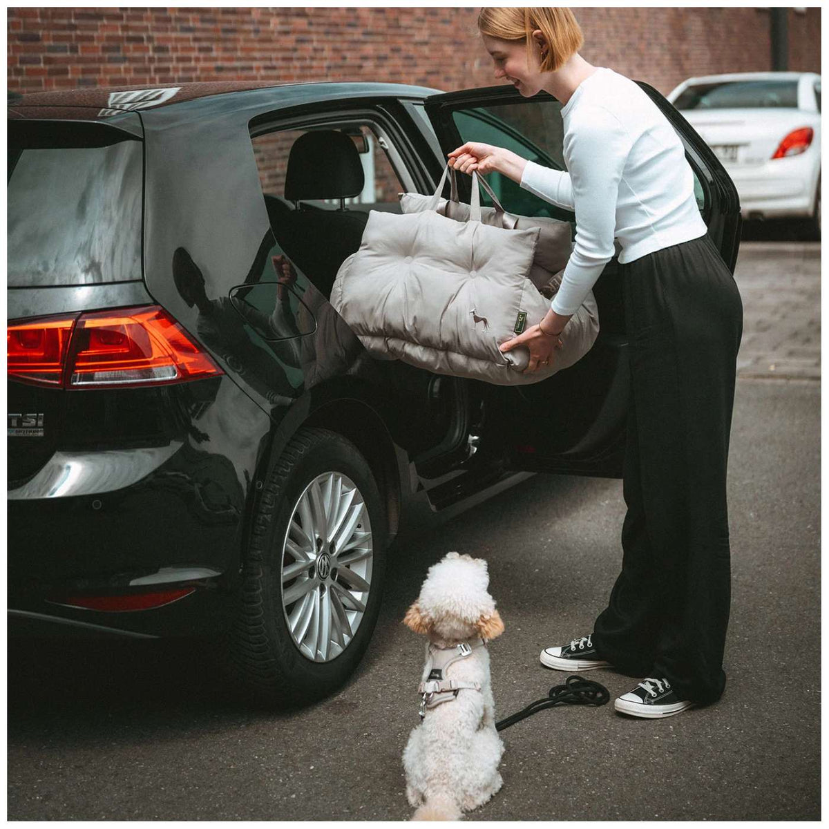 Hunter Seggiolino Auto e Lettino da Viaggio per Cani 2 in 1 Seoul
