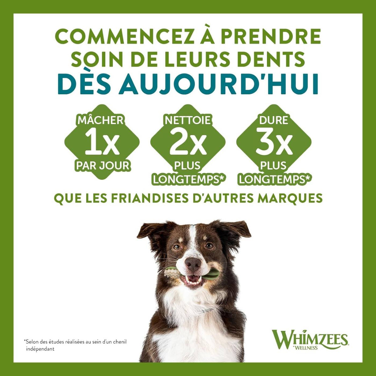 Whimzees Snack Dentale Naturale Spazzolino per Cani Toothbrush