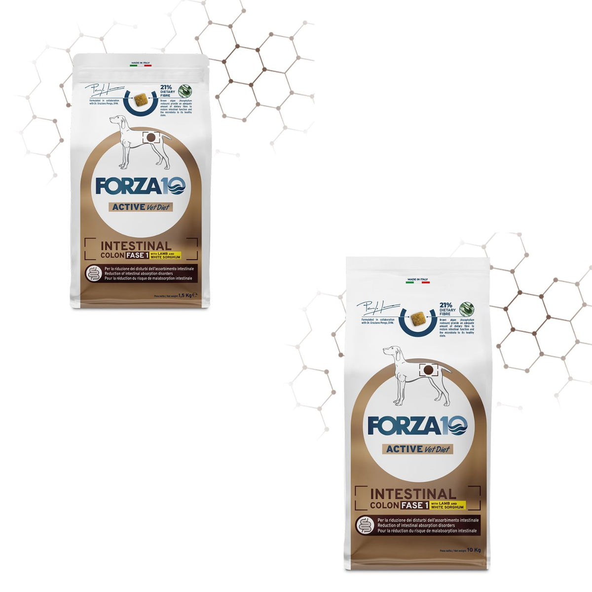 Forza 10 Intestinal Colon Fase 1 Agnello e Sorgo Bianco per Cani Adulti