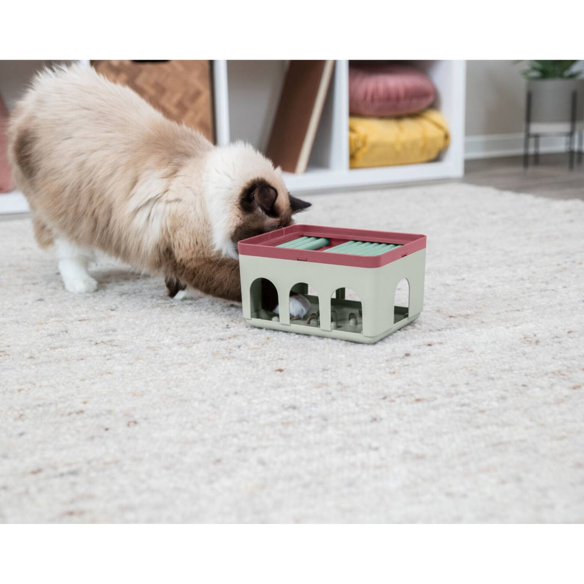 Trixie Gioco Interattivo per Gatti Cat Activity Rod Box 20 x 12 x 16 cm