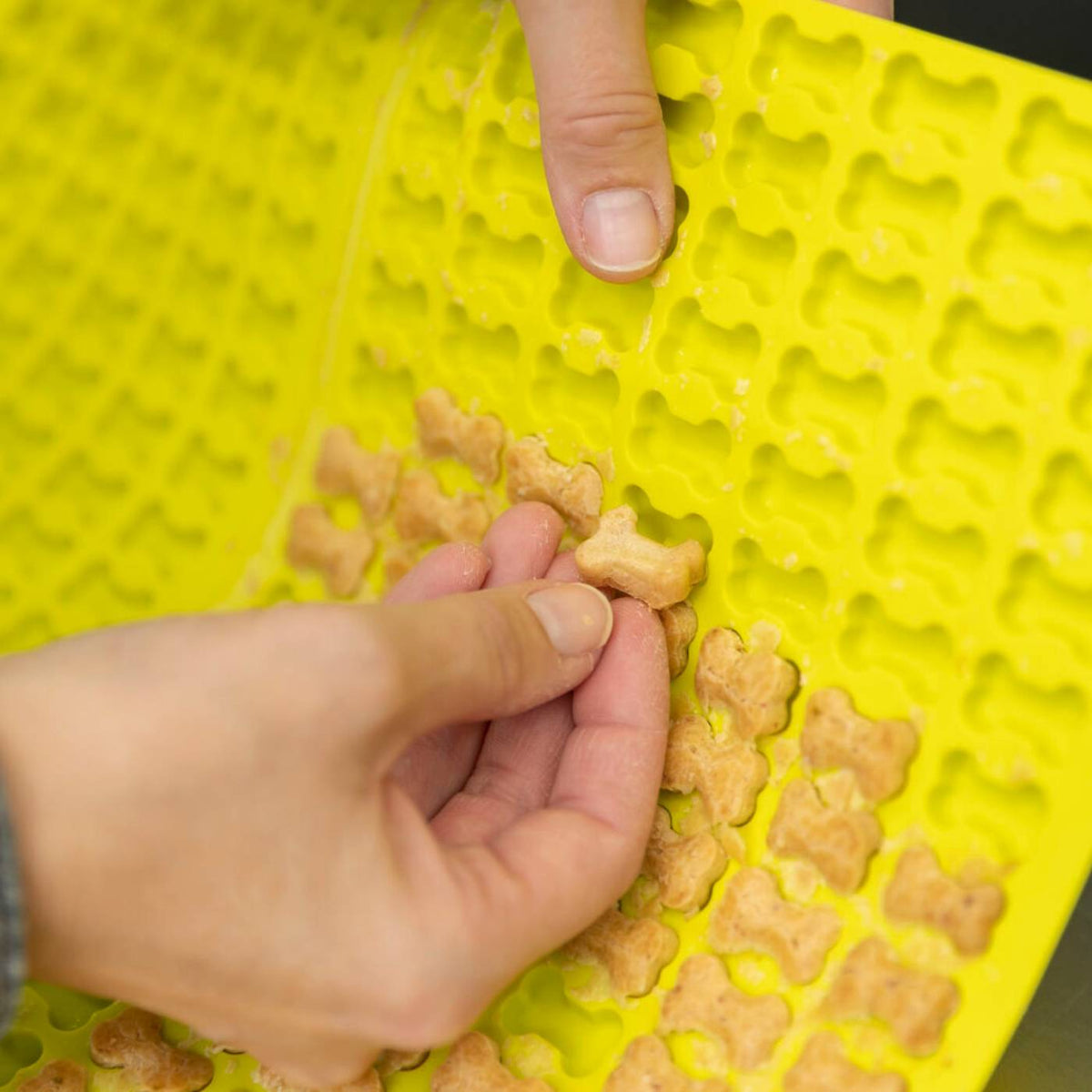 Trixie Stampo in Silicone per Biscotti per Cani Forma Osso 38 x 28 cm