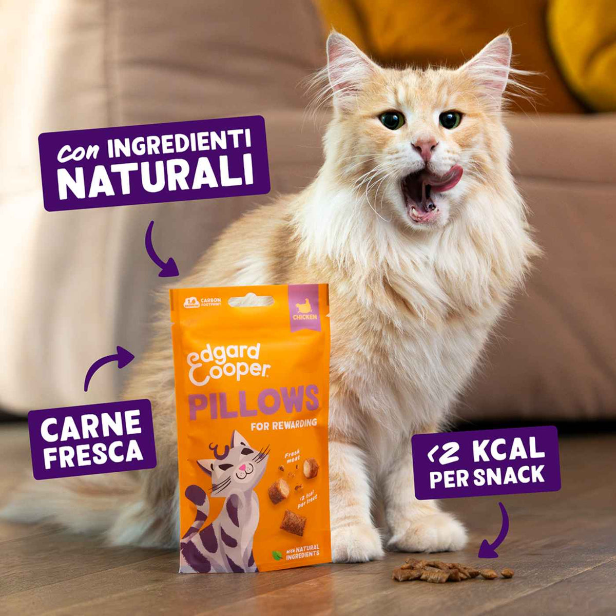 Edgard&Cooper Snack per Gatti Pillows Fagottini Ripieni al Pollo 60 g