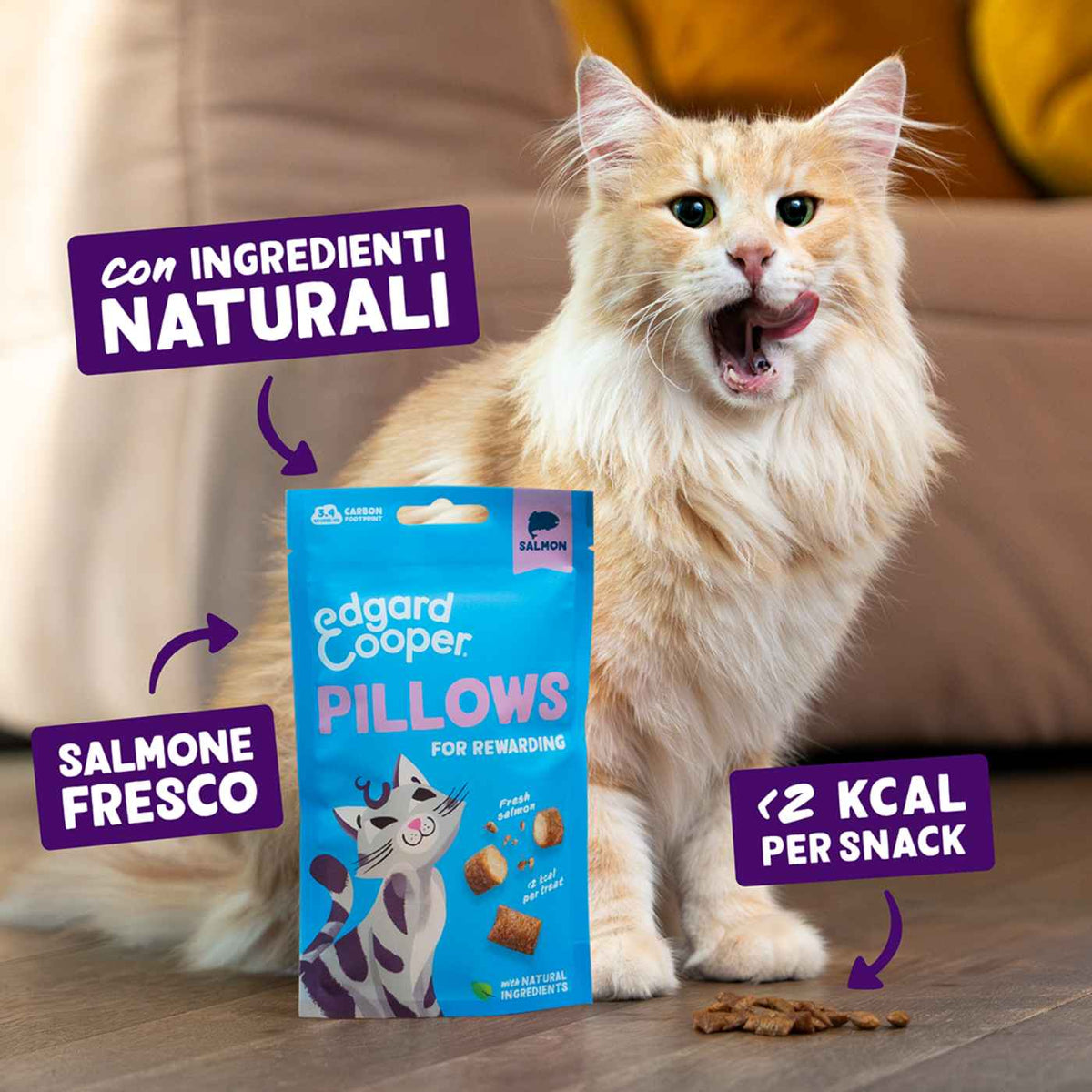 Edgard&Cooper Snack per Gatti Pillows Fagottini Ripieni al Salmone 60 g