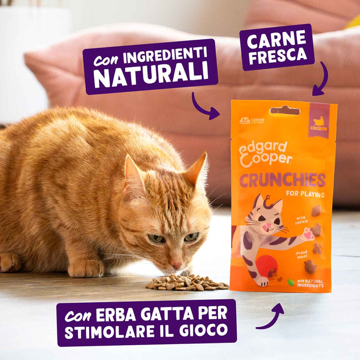 Edgard&Cooper Biscottini per Gatti Crunchies al Pollo 50 g