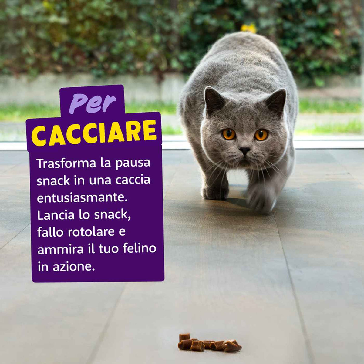 Edgard&Cooper Snack Morbidi per Gatti Rolls al Salmone 45 g